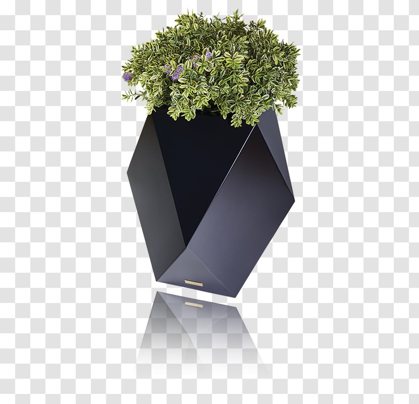 Flowerpot Designer Project Industrial Design - Flower Transparent PNG