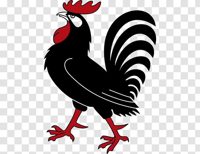 Chicken Rooster Clip Art - Gallo Pinto Transparent PNG