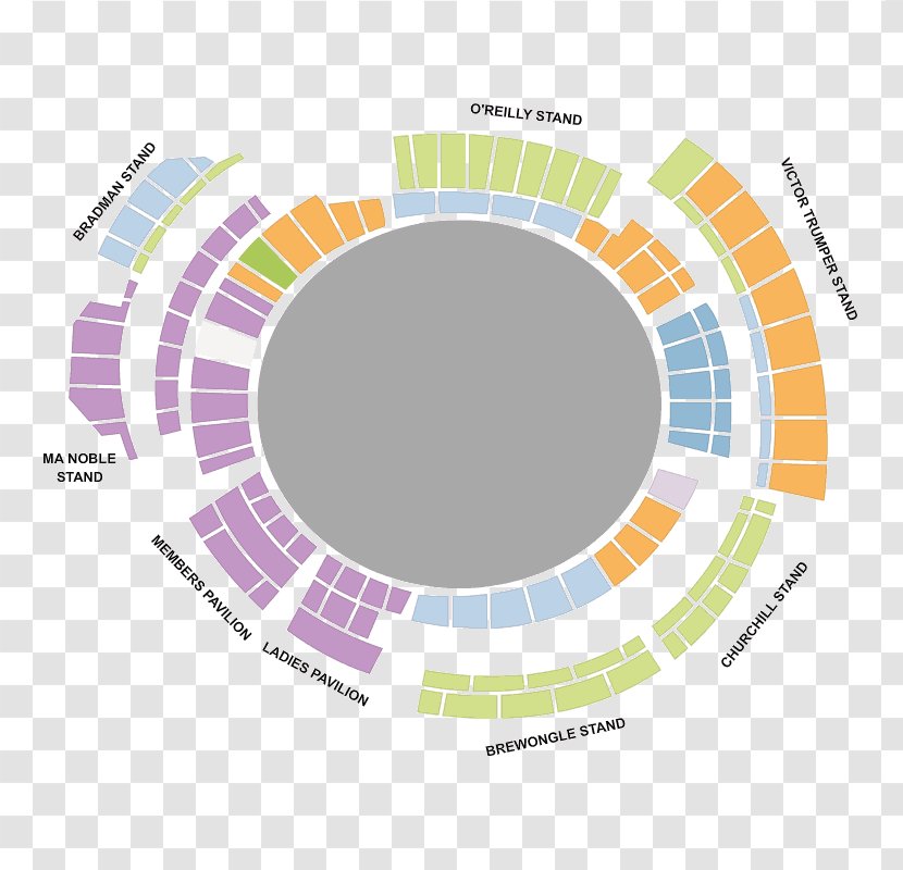 Graphic Design Brand Sports Venue Diagram - Sport - Cricket GROUND Transparent PNG