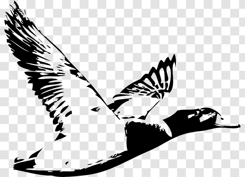 Duck Waterfowl Hunting Logo Water Bird - Of Prey Transparent PNG