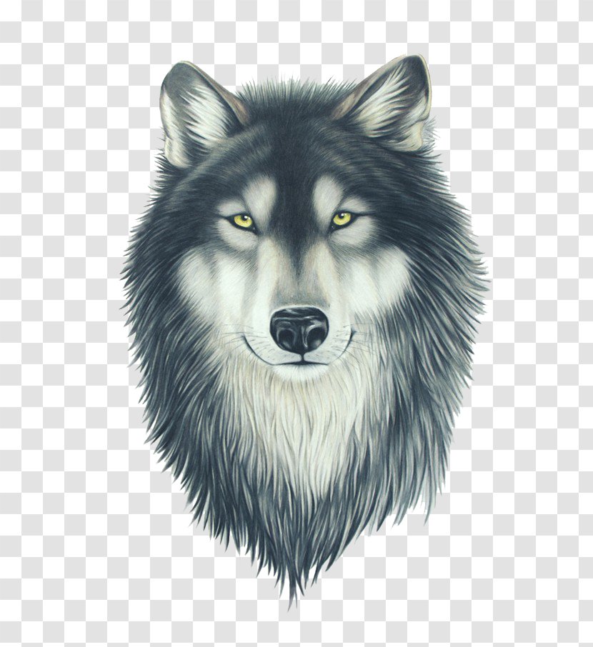 Drawing Pit Bull Painting Wolfdog - Portrait Transparent PNG