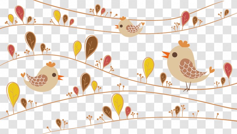 Vector Birds - Beak - Owl Transparent PNG