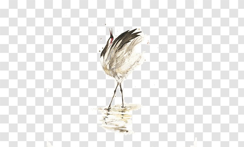 Bird U660eu53f0 Crane - Water - White Transparent PNG