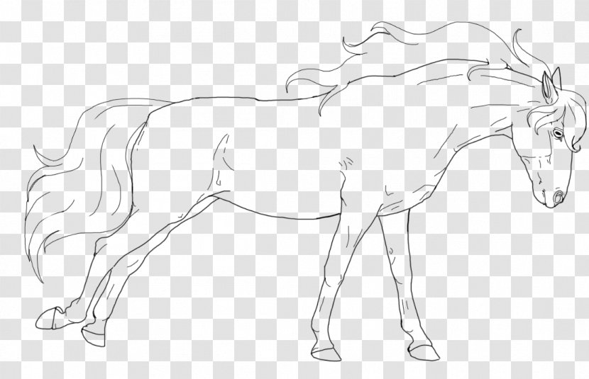 Mule Foal Stallion Bridle Colt - Horse Like Mammal - Mustang Transparent PNG