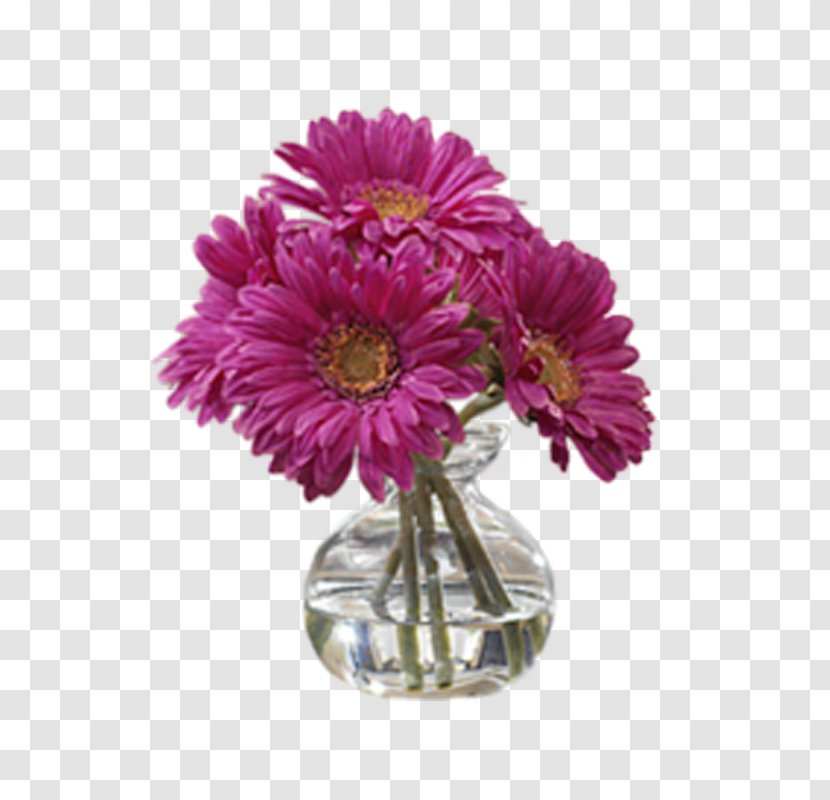 Chrysanthemum Flower - Chrysanths Transparent PNG