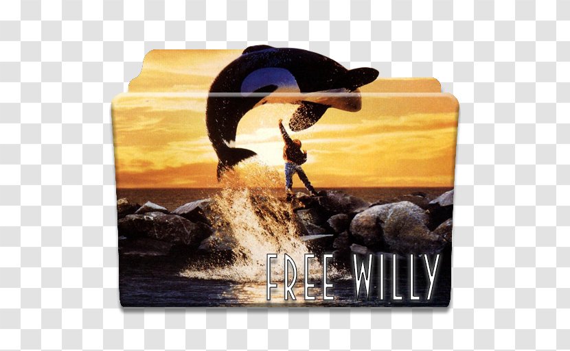 Hollywood Free Willy Killer Whale Film Cinema - It Transparent PNG