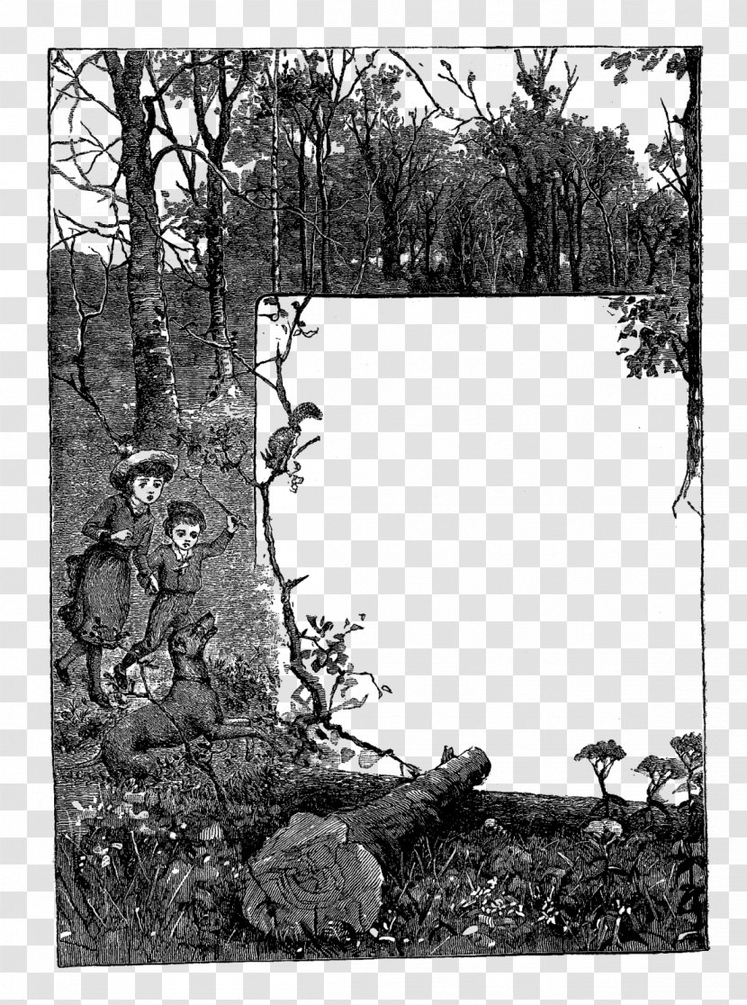 Picture Frames Black And White Digital Stamp Postage Stamps - Nature - Wild Transparent PNG