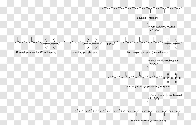 Terpene Biosynthesis Geranyl Pyrophosphate Terpenoid Terpinene - Handwriting - Gewinnung Transparent PNG