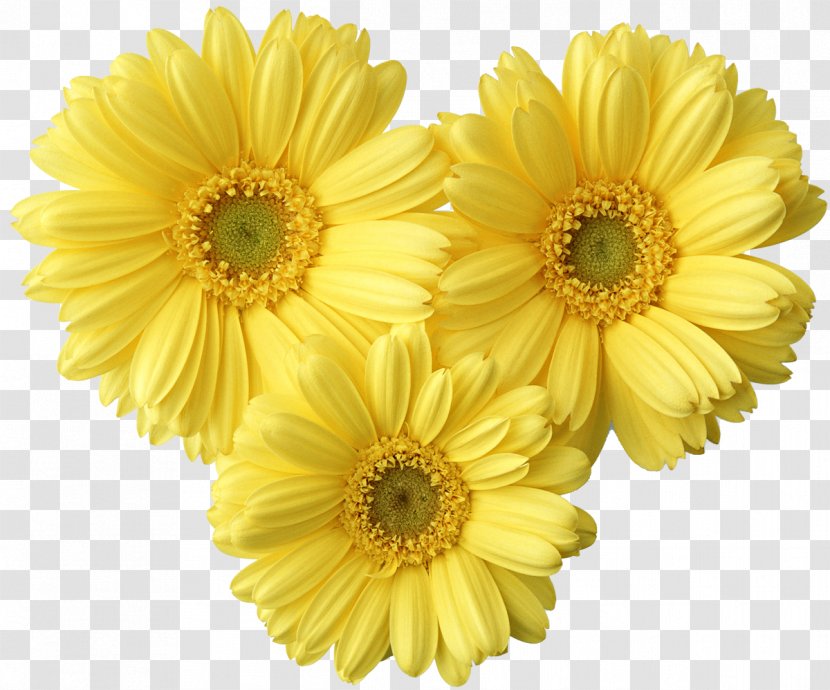 Border Flowers Yellow Clip Art - Flower - Chrysanthemum Transparent PNG