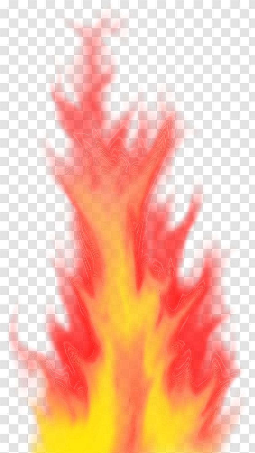 Orange - Flame - Petal Transparent PNG