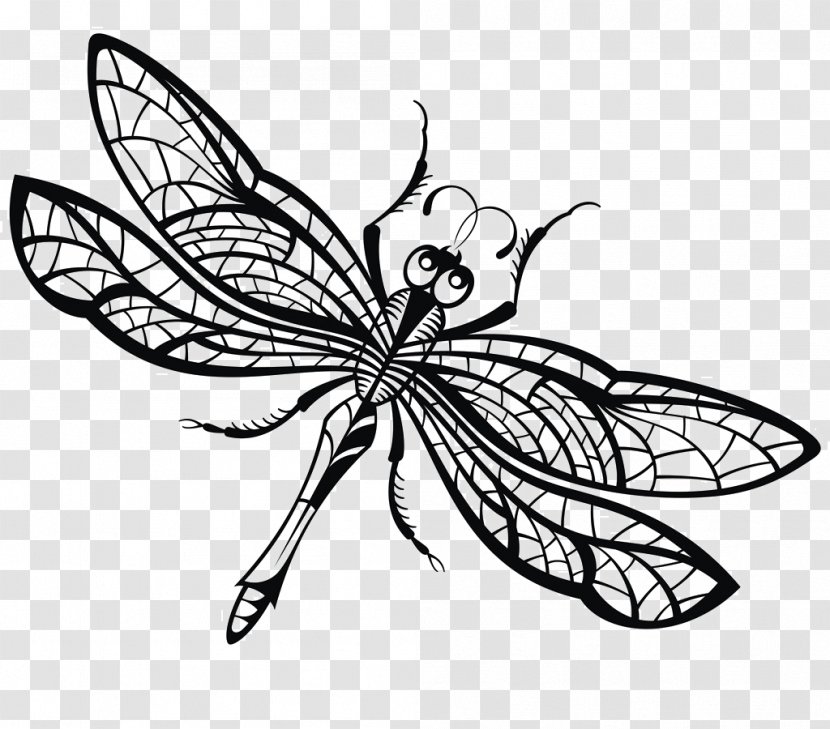 Drawing Dragonfly Royalty-free Illustration - Moths And Butterflies - Creative Transparent PNG