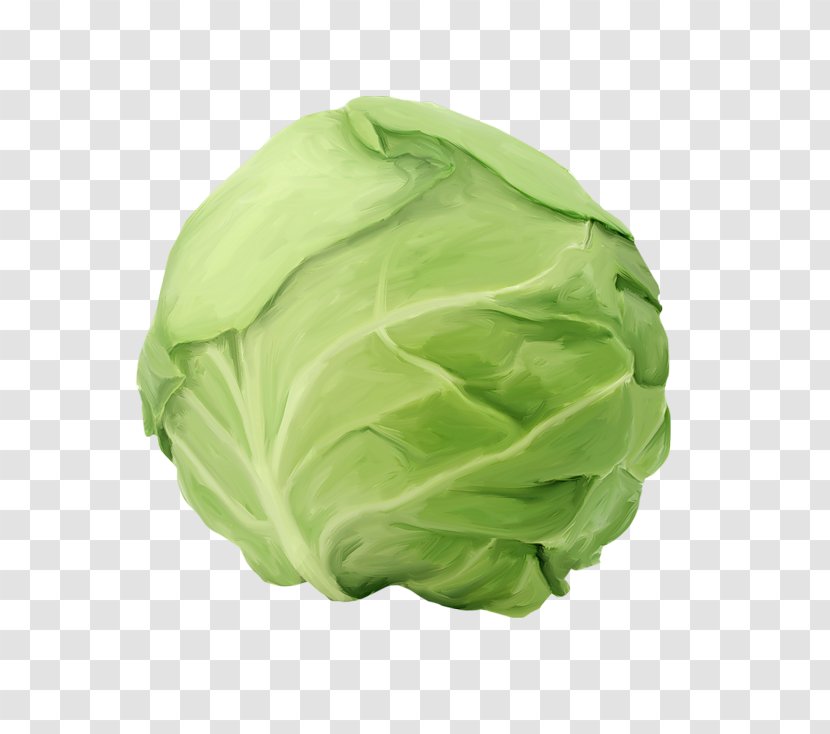 Cabbage Roll Capitata Group Kraut Vegetable Food - Recipe Transparent PNG