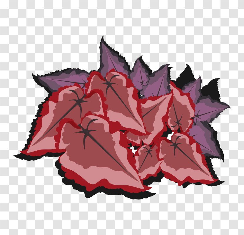 Maple Leaf Flower Transparent PNG