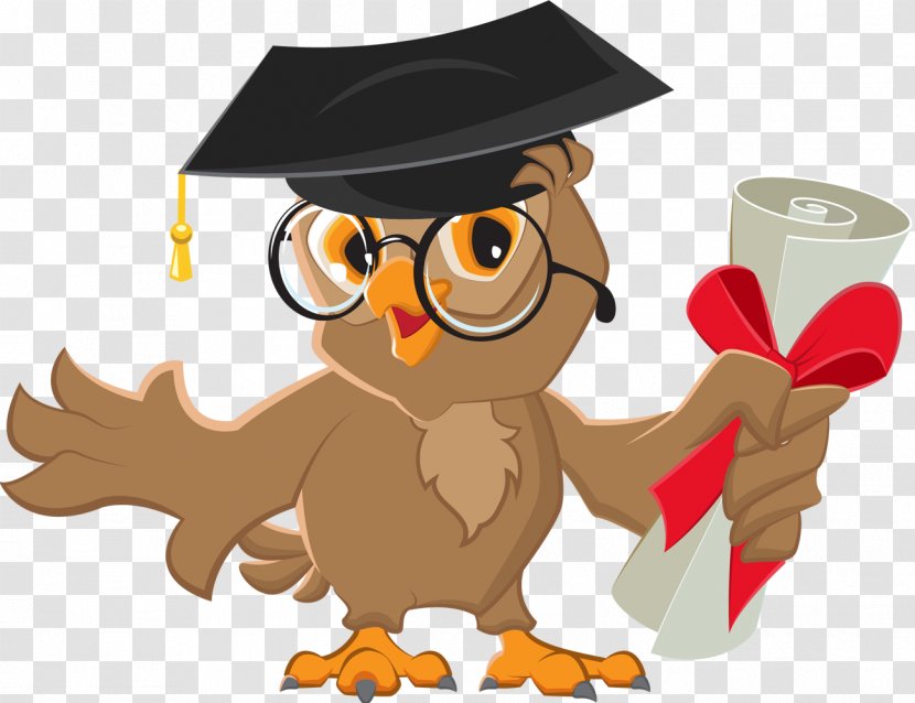 Owl Vector Graphics Diploma Stock Illustration - Graduation Ceremony Transparent PNG