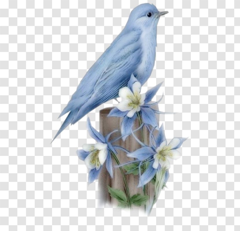 Hummingbird Bluebird Of Happiness - Blue - Birds Transparent PNG