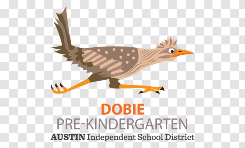 J. Frank Dobie Pre-Kindergarten Center Mesquite Independent School District Education - Wildlife Transparent PNG