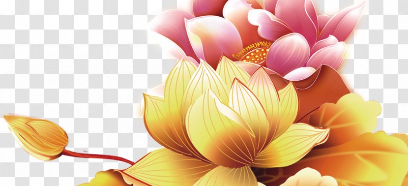 Mid-Autumn Festival Flower Chinese New Year - Dahlia - Lotus Transparent PNG