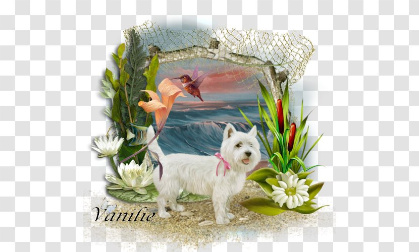 West Highland White Terrier Painting Drawing Manual Of The Mustard Seed Garden Image - Flower Transparent PNG