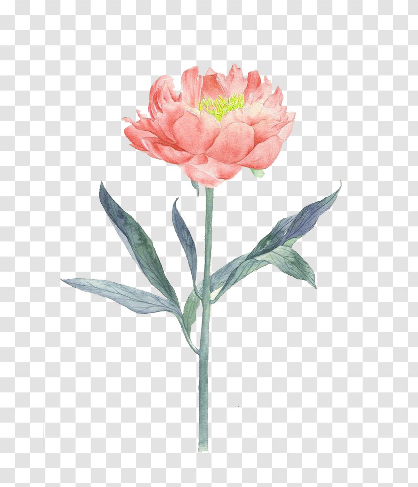 Flower Painting Illustration - Watercolor Flowers Transparent PNG