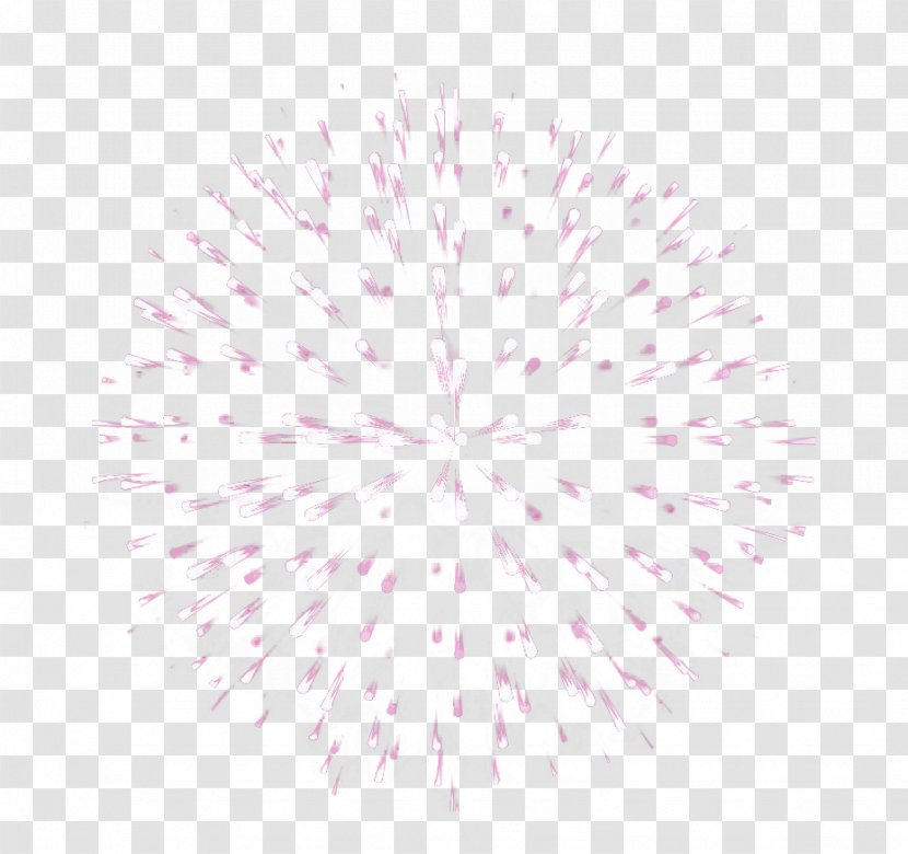 Symmetry Petal Pattern - Point - Lilac Bloom Fireworks Transparent PNG