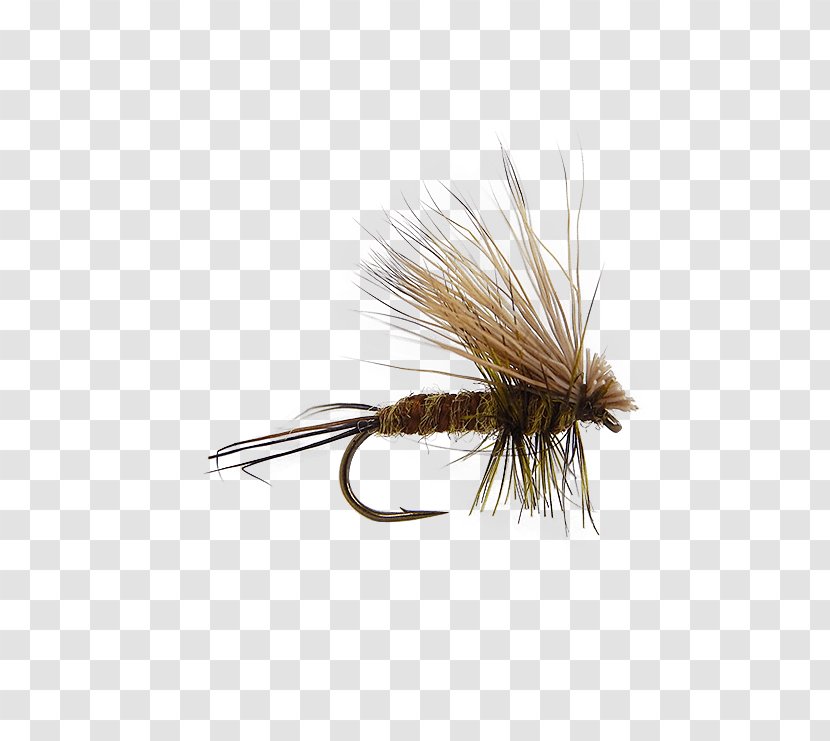 Artificial Fly Fishing Blue Trout Flies: Naturals And Imitations - Green Transparent PNG