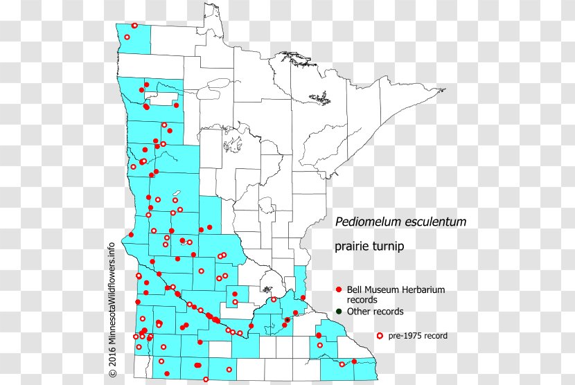 Line Land Lot Point Map Tuberculosis Transparent PNG