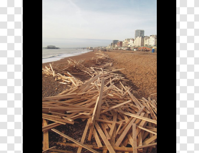 Driftwood - Shore - Sea Wood Transparent PNG
