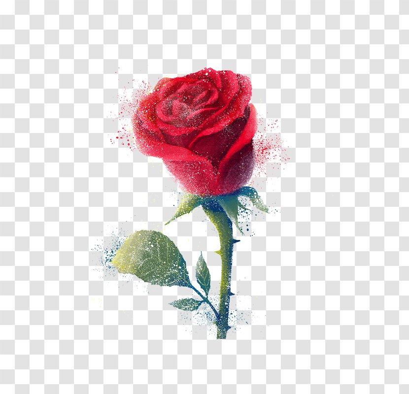 Samsung Galaxy Note Photographic Film Schermo - Rose Family - Fresh Roses Transparent PNG