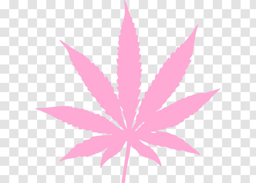 Family Tree Background - Medical Cannabis - Flower Maple Leaf Transparent PNG