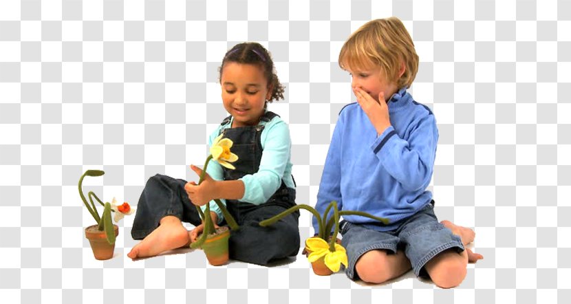 Child Cartoon - Footage - Plant Toy Transparent PNG