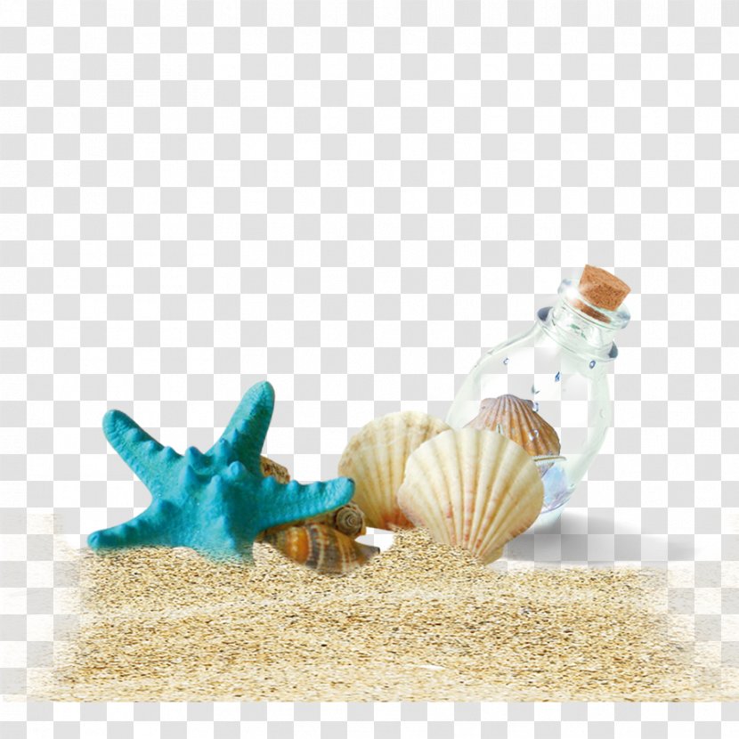 Shell Beach Bottle - Conch Transparent PNG