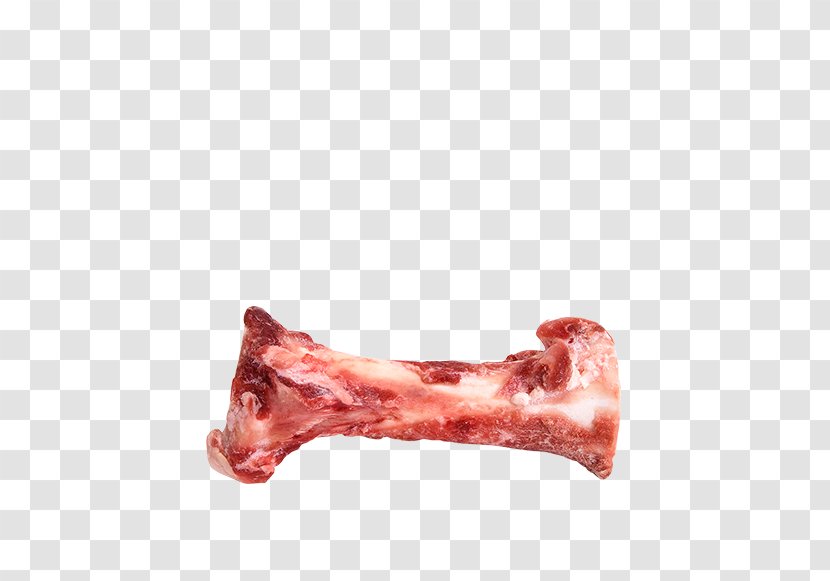 Bone Marrow Dog Bison Food - Flower Transparent PNG