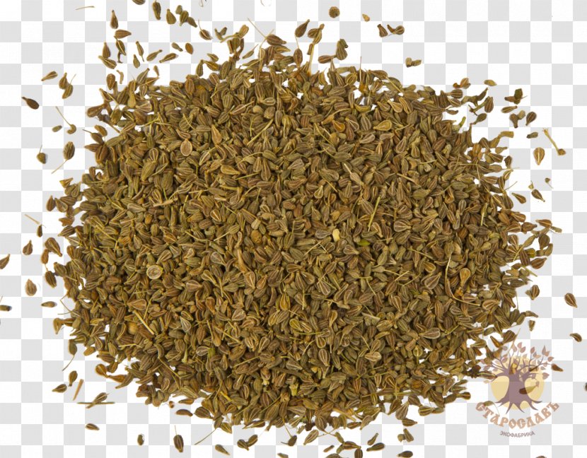 Anise Nalewka Seed Herb Infusion - Hojicha - Plant Transparent PNG