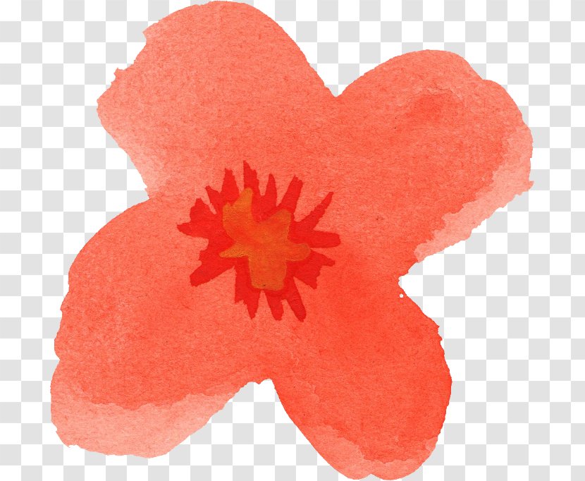 Flower Poppy Petal - Watercolour Transparent PNG