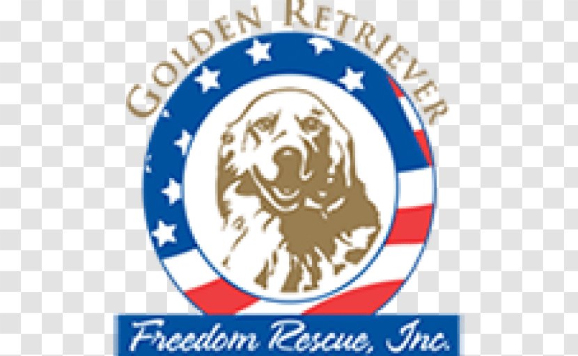 Golden Retriever Labrador Boston Terrier German Shepherd - Animal - Social Rescue Transparent PNG
