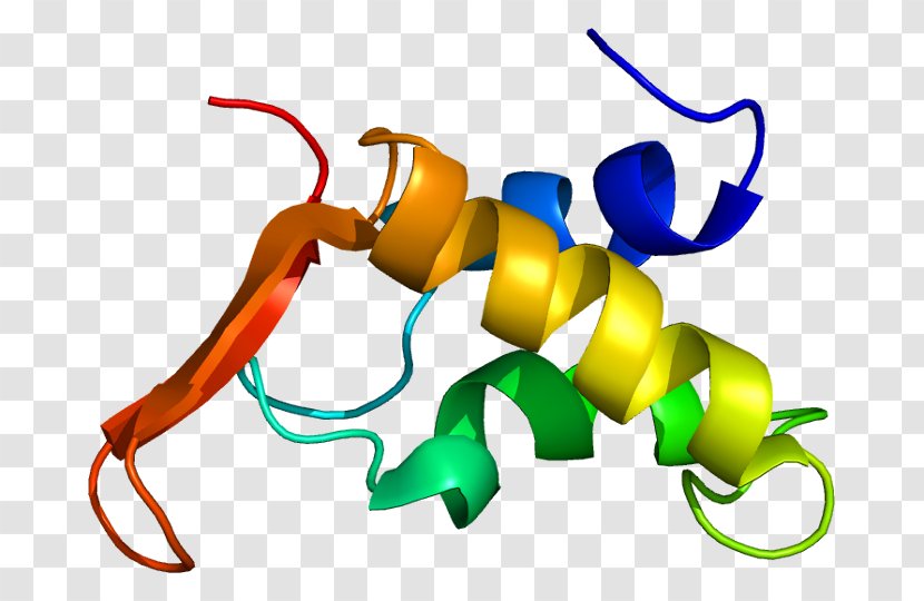 Histone H1 H3 Deacetylase Methylation - Tree - Silhouette Transparent PNG