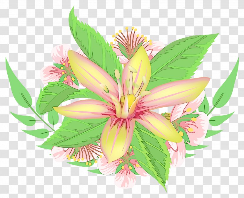 Lily Of The Incas Cut Flowers Petal - Flowering Plant - Family Transparent PNG
