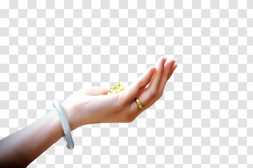 Hand Finger Skin Arm Nail - Wrist Thumb Transparent PNG