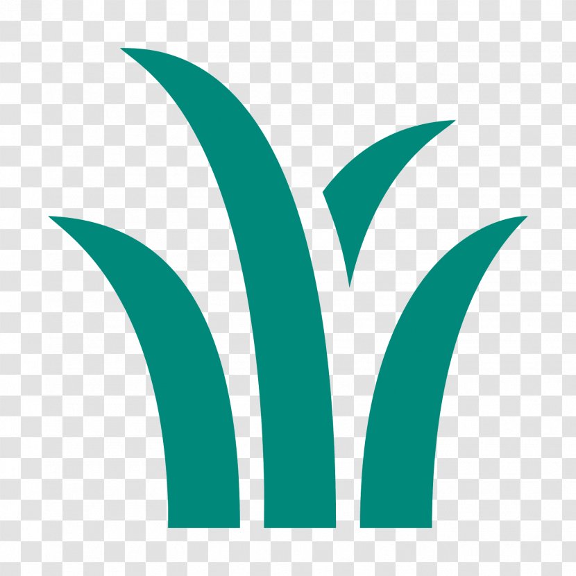 Logo - Leaf - Grass Icon Transparent PNG