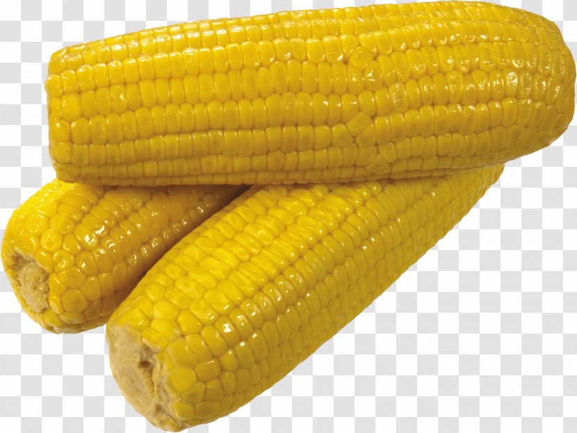 Corn On The Cob Sweet Waxy Cereal - Ear - Yellow Image Transparent PNG