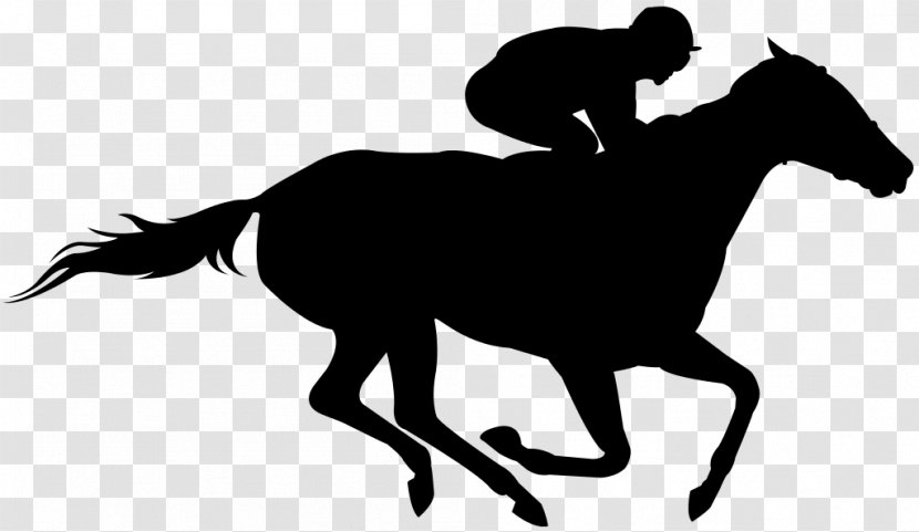 Horse Racing The Kentucky Derby Clip Art - Equestrianism Transparent PNG