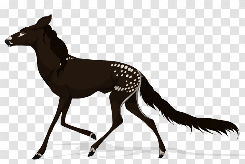 Mustang Deer Dog Mane Pack Animal - Horse Like Mammal - Royal Stag Transparent PNG