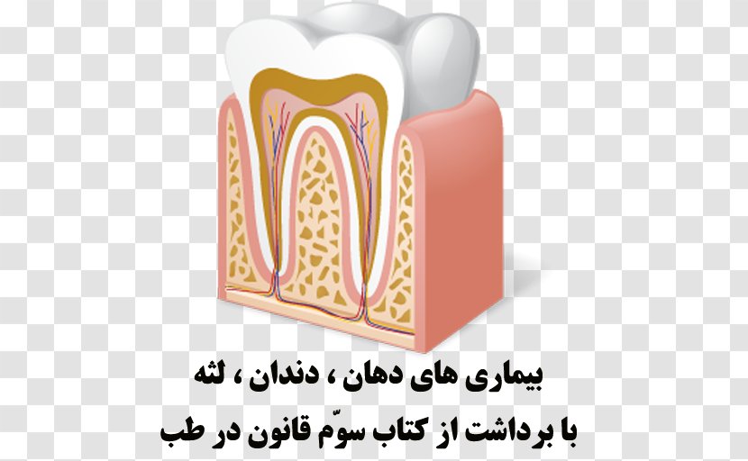 Medicine Dentistry Icon Design - Heart - Frame Transparent PNG