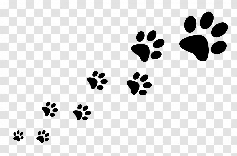 Dog Walking Pet Sitting Cat - Point - Footprints Transparent PNG