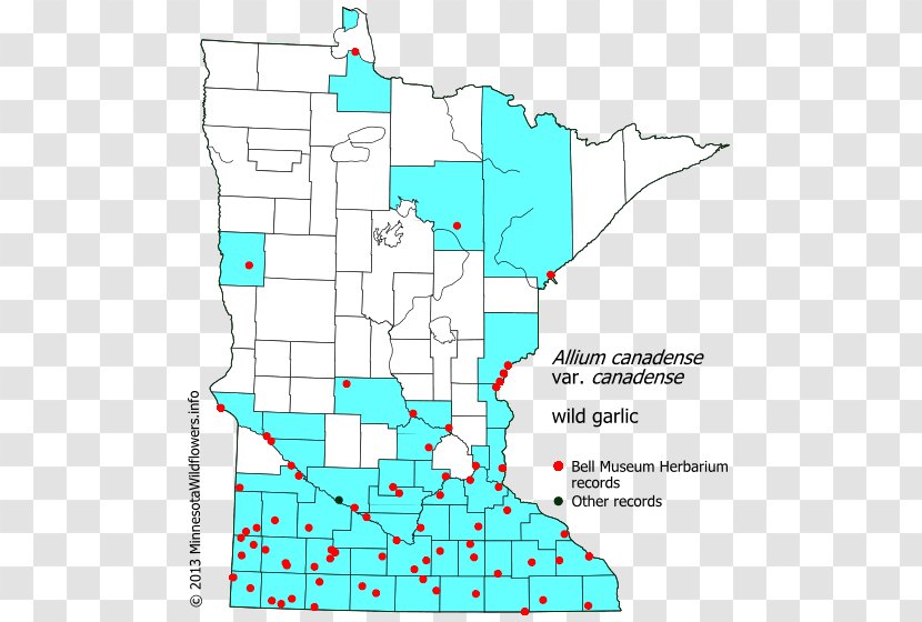 Minnesota Line Point Angle Diagram Transparent PNG