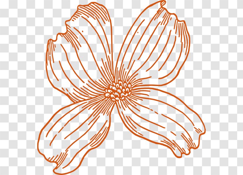 Flowering Dogwood Christian Clip Art Pacific Vector Graphics - Organism - Burnt Orange Flowers Transparent PNG