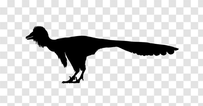 Wikimedia Commons Troodon Creative Foundation - Silhouette - Dinosaur Transparent PNG