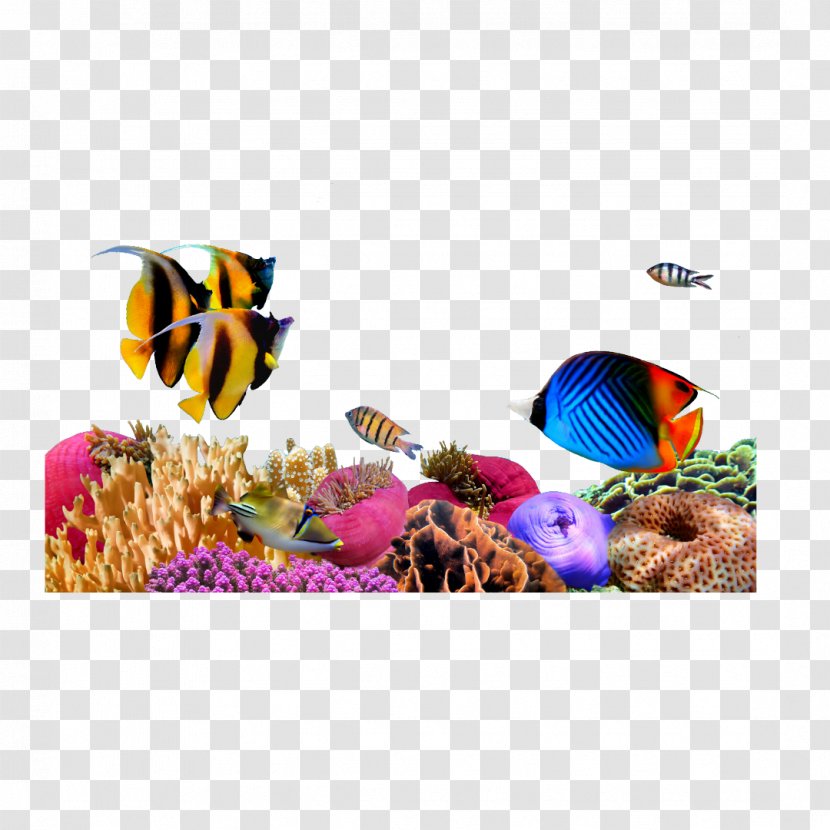Sea Coral Desktop Wallpaper - Seahorse Transparent PNG