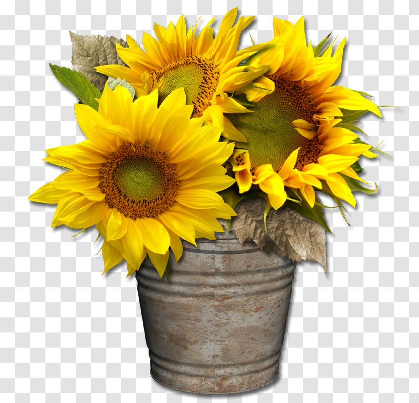 Digital Scrapbooking Common Sunflower Cut Flowers - Exclusive Elements Transparent PNG