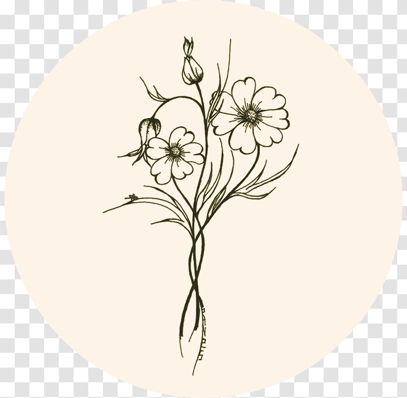 Drawing Image Illustration Colored Pencil Stroke - Information - Floral Arranging Transparent PNG